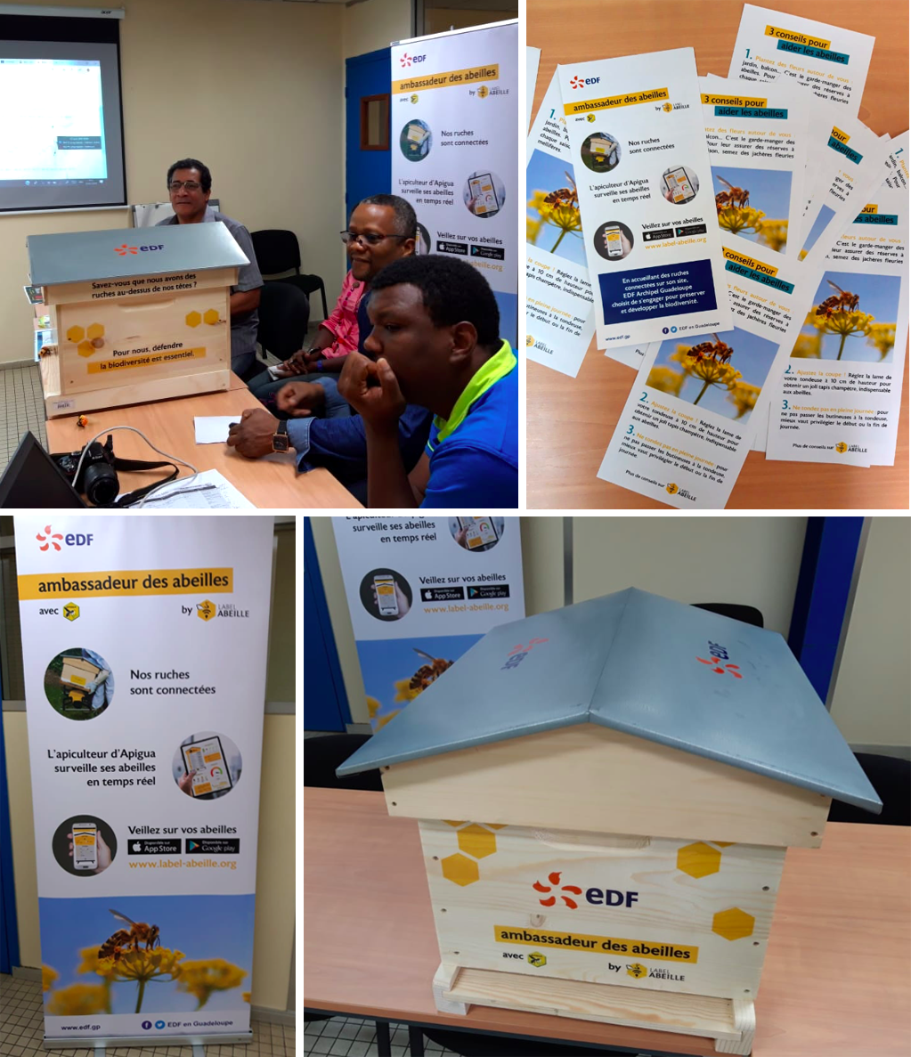 LABEL ABEILLE - EDF Guadeloupe installe 3 ruches connectées sur ses sites