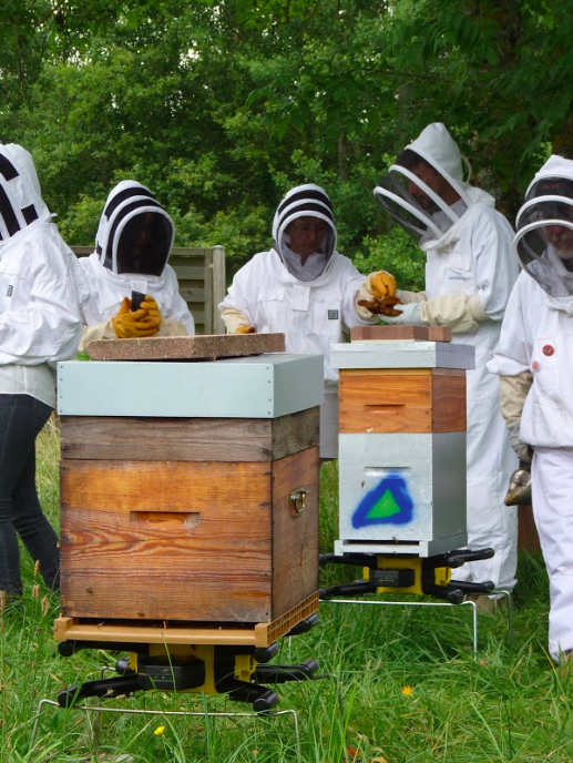 LABEL ABEILLE - devenir apiculteur connecté